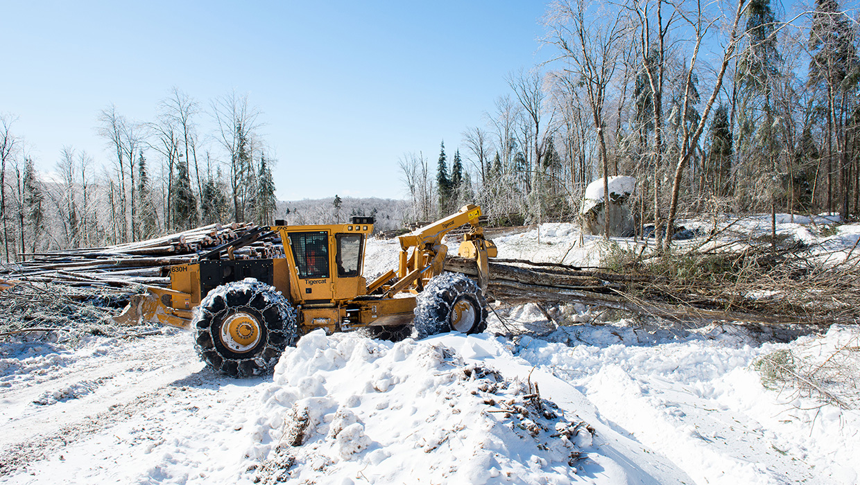 Image of a Mackolines Machines & Hire 630H skidder working in the field