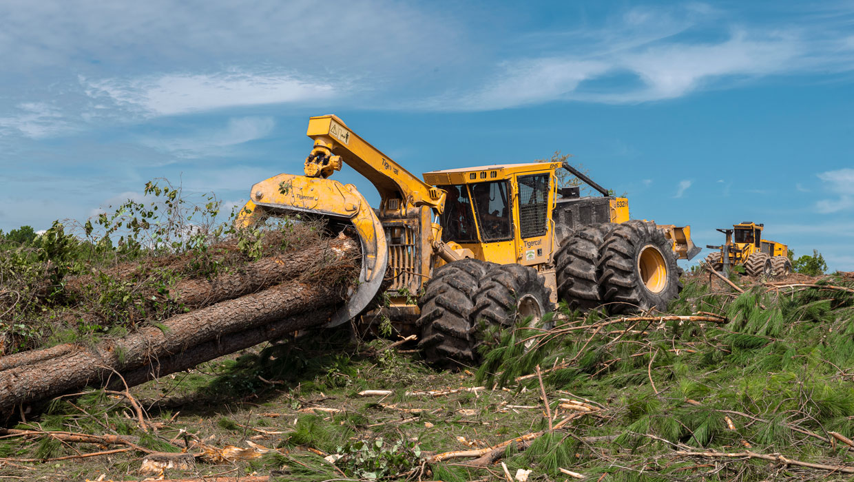 Image of a Mackolines Machines & Hire 632H skidder working in the field