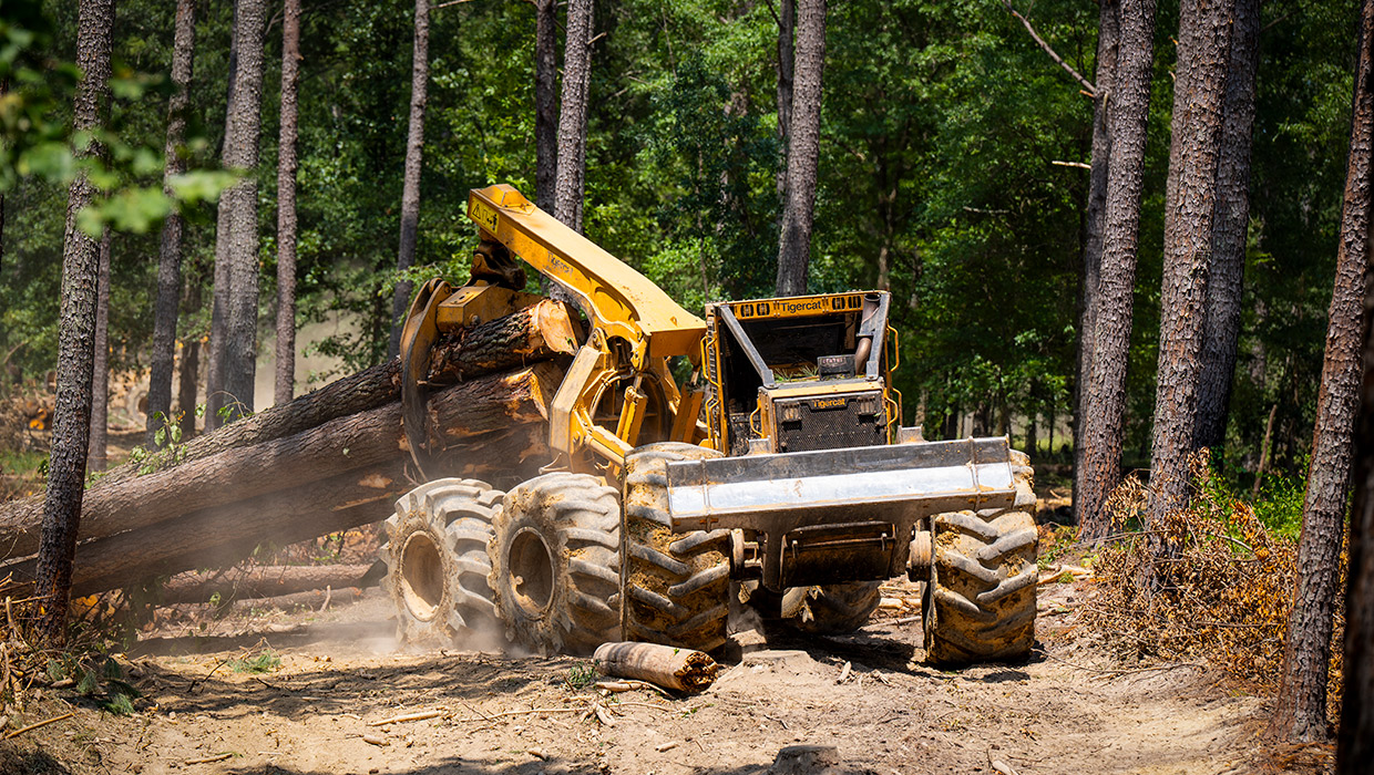 Image of a Mackolines Machines & Hire 635H bogie skidder working in the field