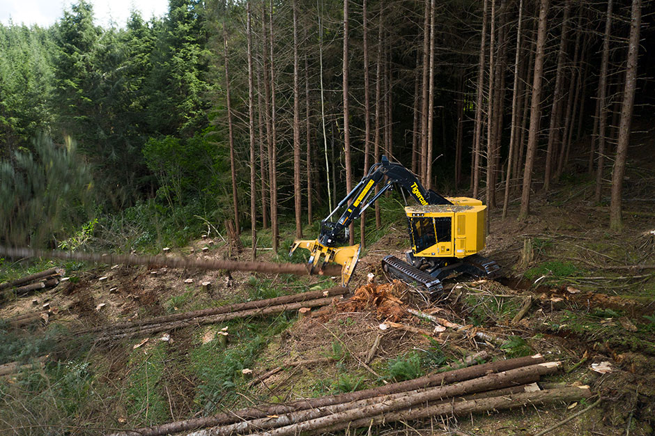 LX830D feller buncher felling a tree.