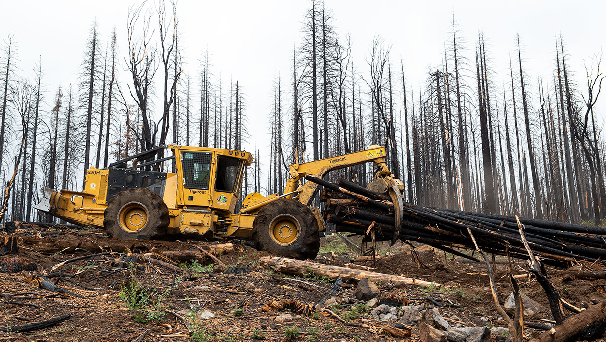 Image of a Mackolines Machines & Hire 620H skidder working in the field