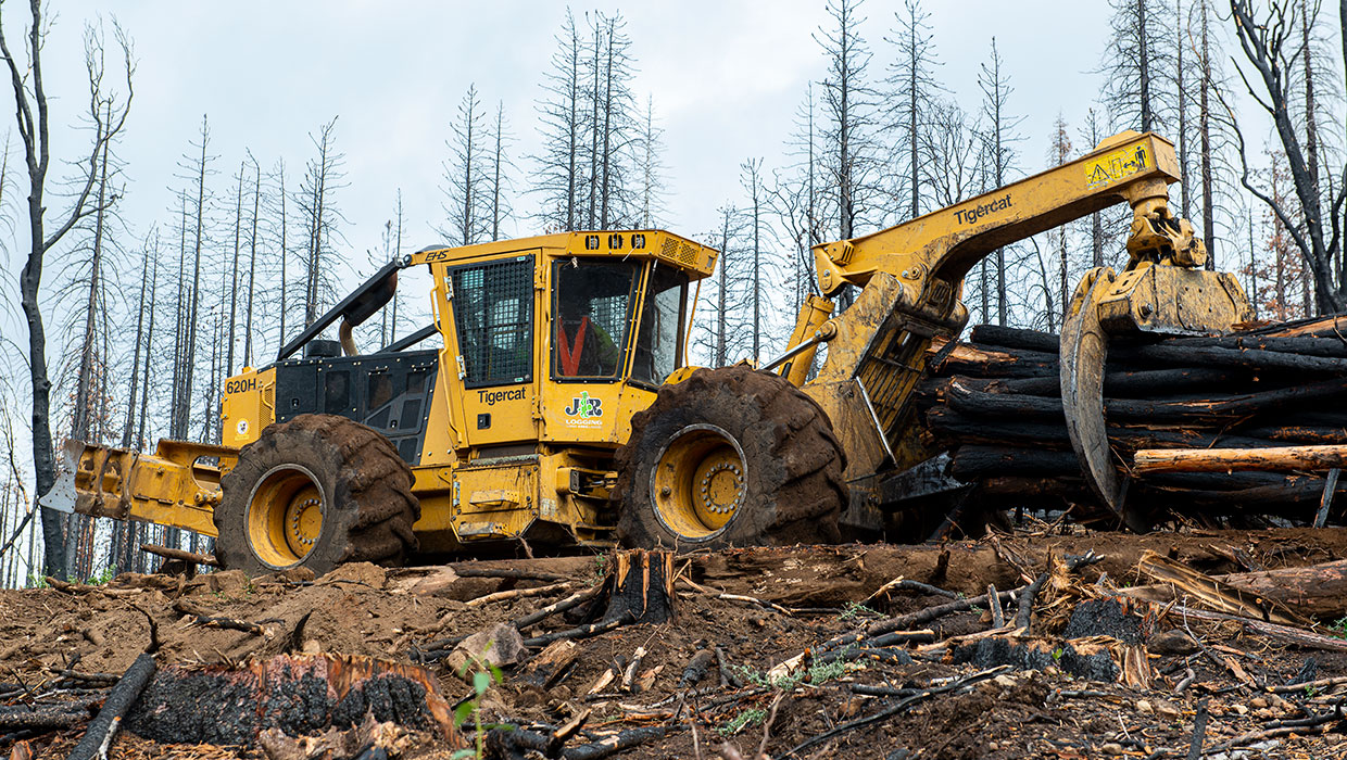 Image of a Mackolines Machines & Hire 620H skidder working in the field