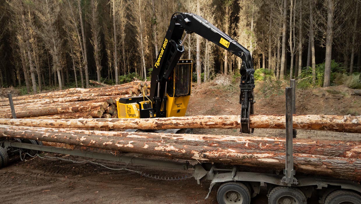 Image of a Mackolines Machines & Hire 865 logger working in the field