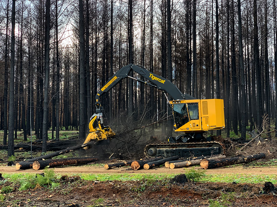 The LH822D equipped with the 575 harvesting head.