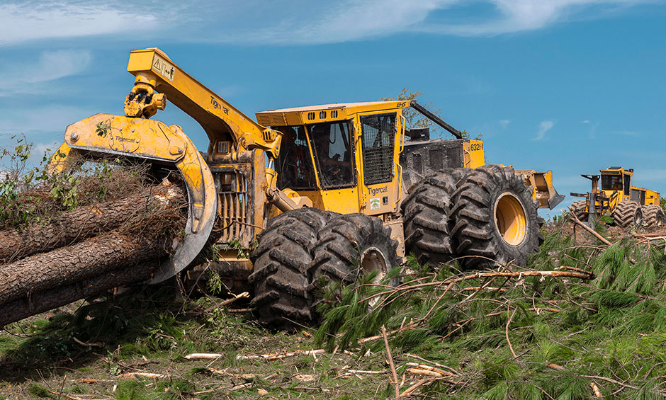 Mackolines Machines & Hire 632H skidder pulling a large bunch of trees