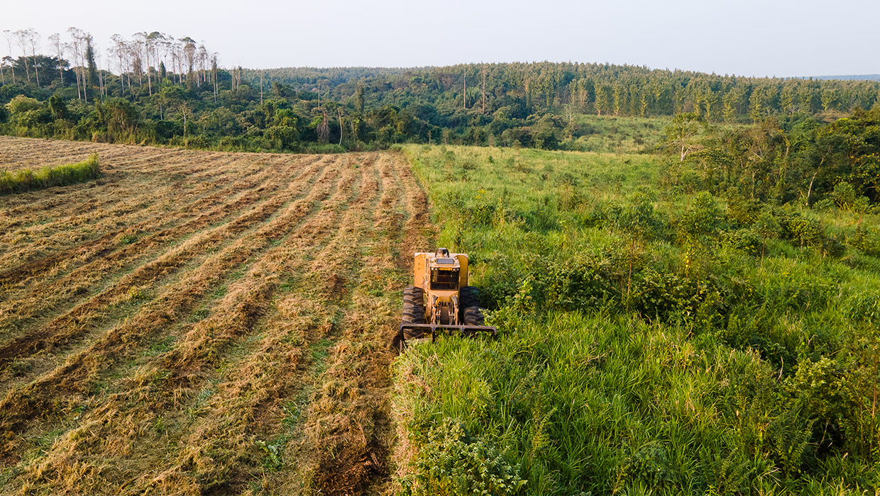 Image of a Mackolines Machines & Hire 760B mulcher working in the field