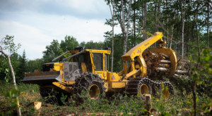 635H bogie skidder in mixed forest