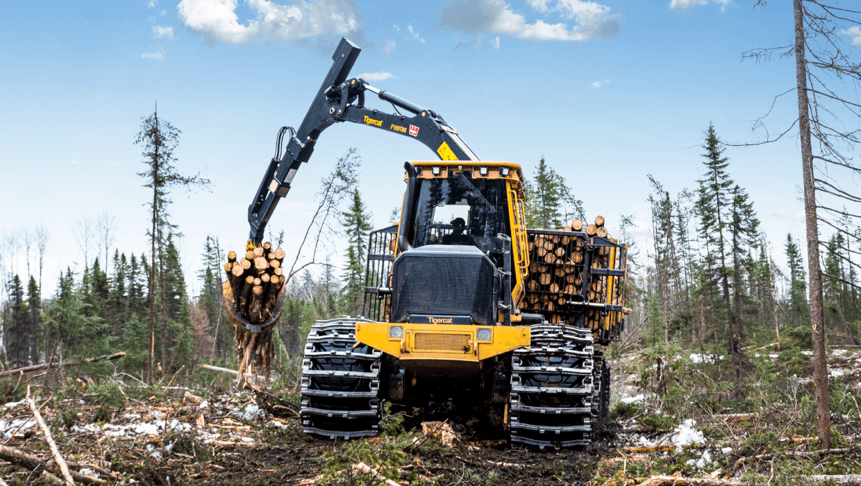 Image of a Mackolines Machines & Hire 1085C forwarder working in the field