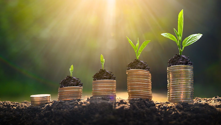 Sapling growing out of the ground with money underneath them