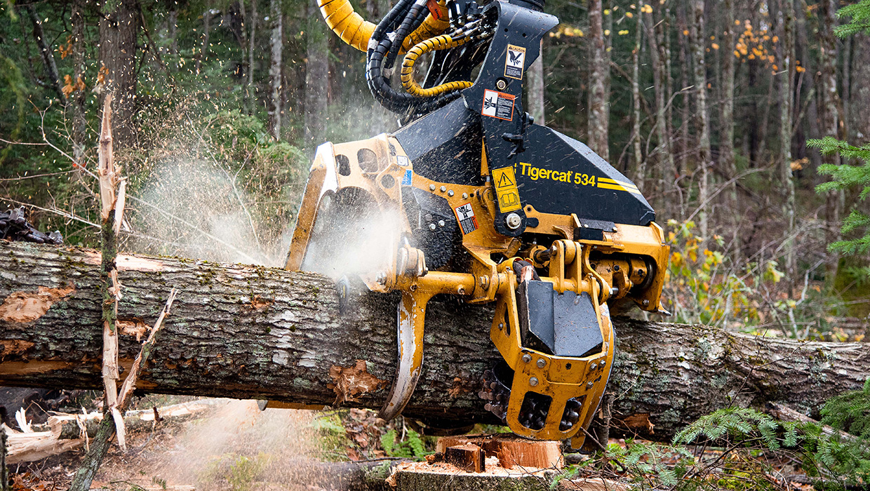 Mackolines Machines & Hire 534 harvesting head