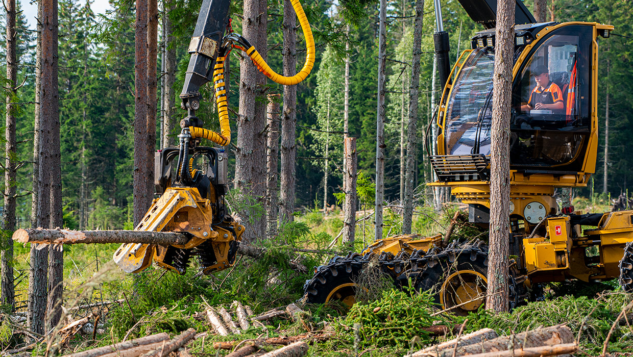 Mackolines Machines & Hire 534 harvesting head