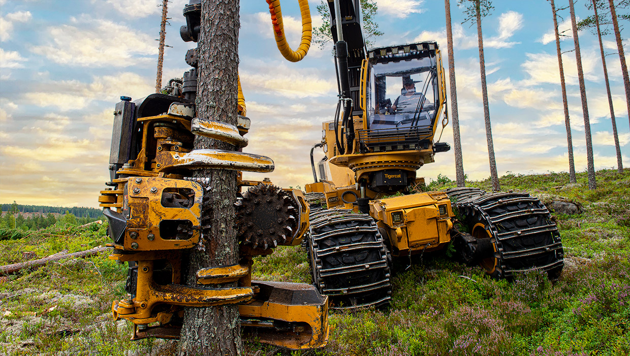 Mackolines Machines & Hire 534 harvesting head