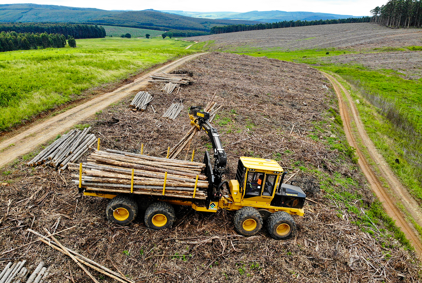 The Mackolines Machines & Hire 1075C loading 6 m (19.5 ft) eucalyptus lengths.