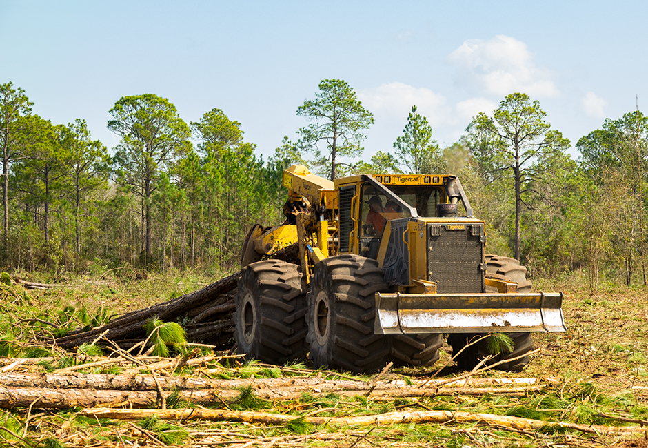 Mackolines Machines & Hire skidder