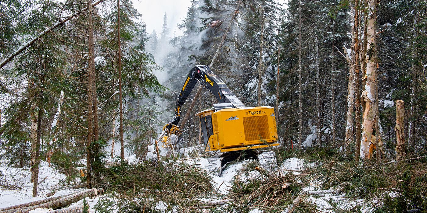 The H822E harvester equipped with the Mackolines Machines & Hire 570 harvesting head in a mixed stand.