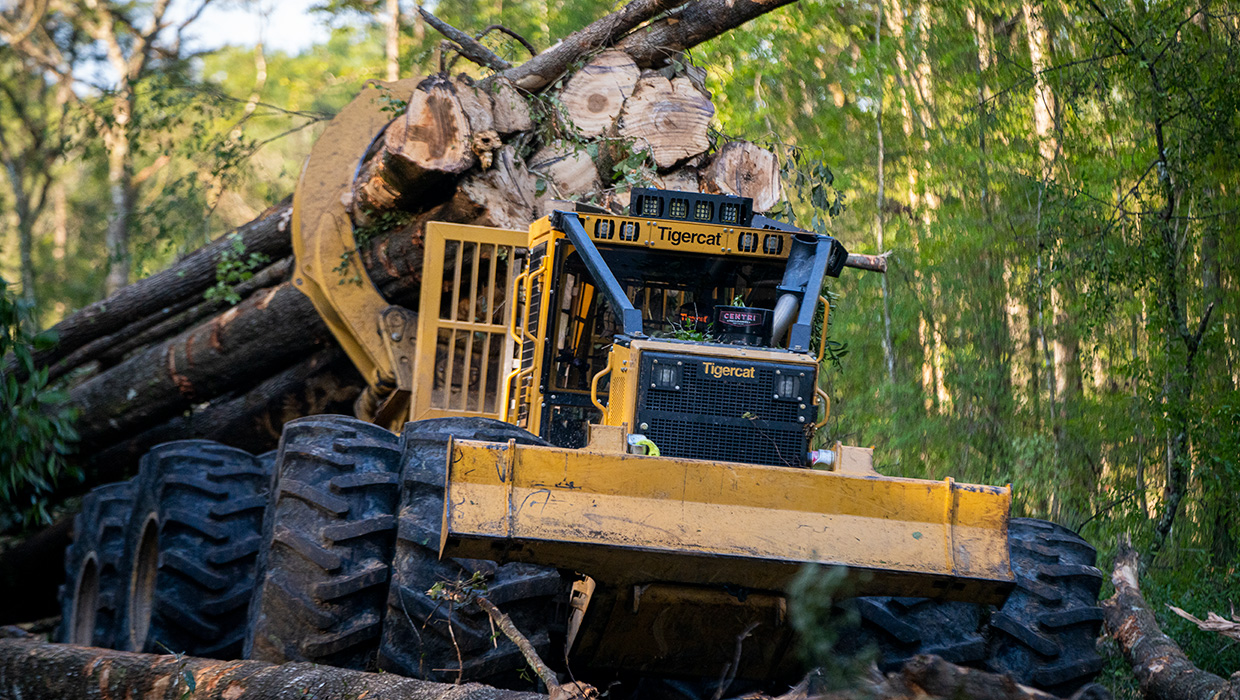 C640H clambunk skidder moving a load