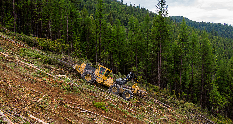 Foto del operador de larga data, Reg Dyck, recogiendo gavillas con el nuevo skidder con pluma giratoria 635H. Reg considera que la pluma giratoria tiene sus ventajas. “Hace que la máquina sea versátil”, dice.