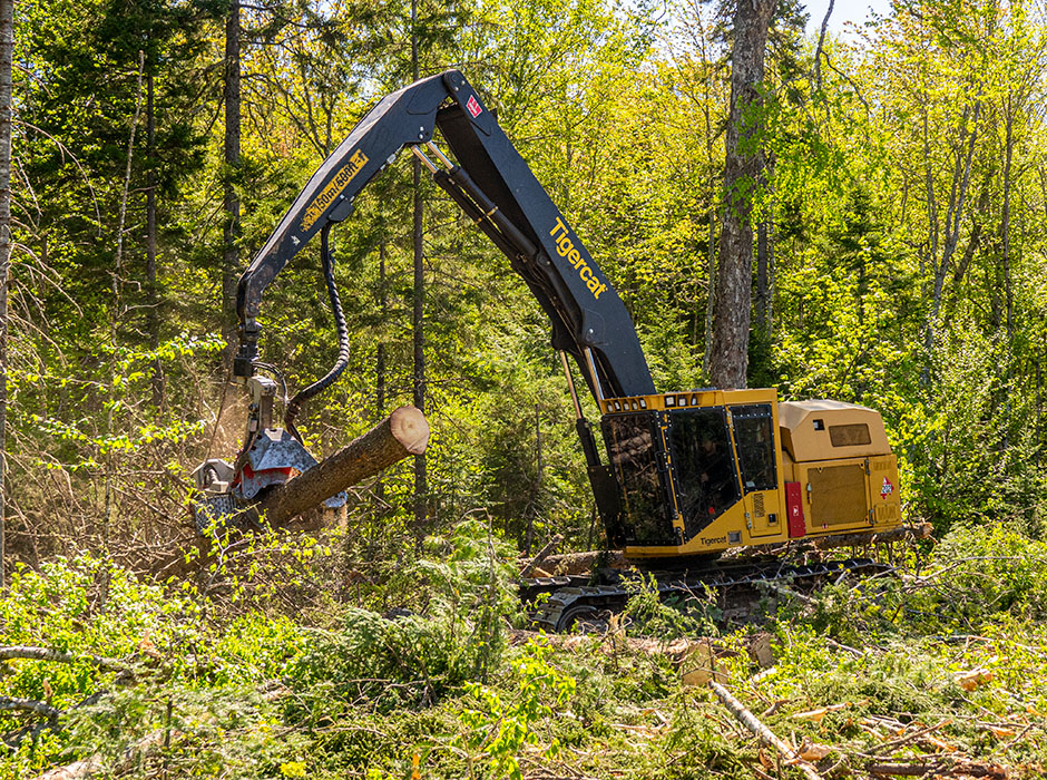 Photo of Derek Demone is piloting one of Sean’s eleven 855 series track harvesters operating in a dense mixed stand.