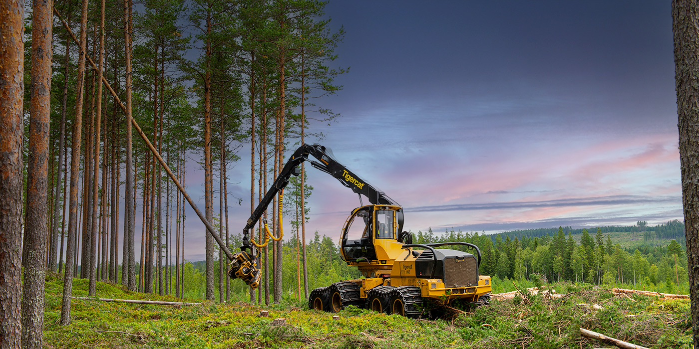 Bild av Mackolines Machines & Hire skördare 1165 utrustad med skördaraggregatet 534