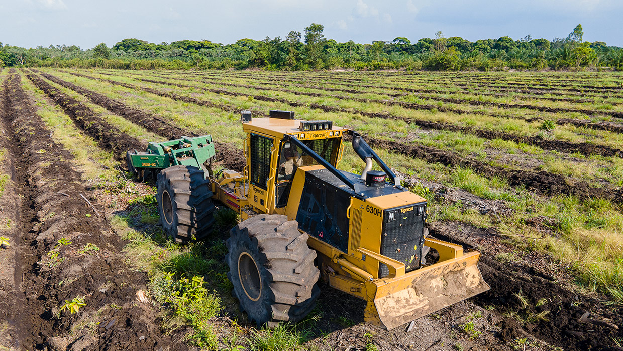 Image of a 630H silviculture carrier working in Mexico