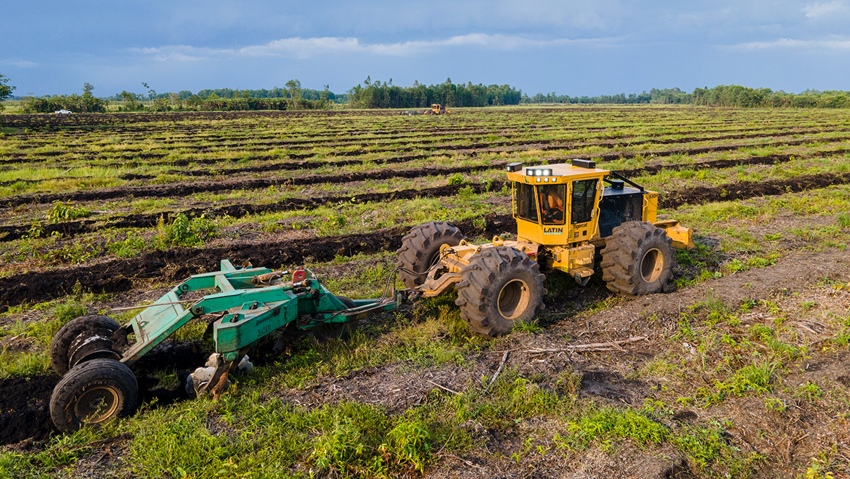 Image of a 630H silviculture carrier working in Mexico