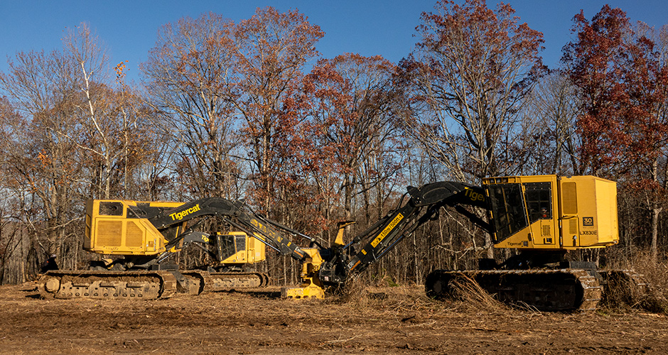 Three LX830E feller bunchers warm up on the deck.