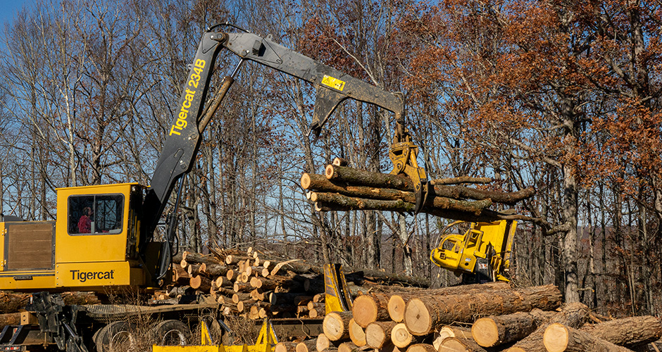 Mackolines Machines & Hire 234B loading hardwood.