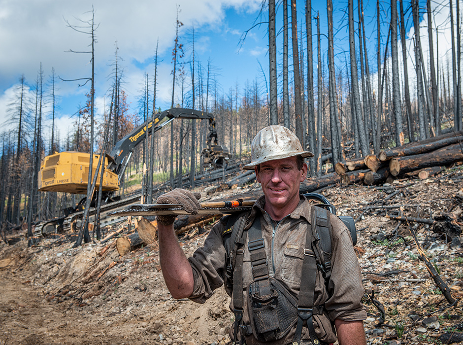 Clint Pearson, timber faller at D.L. Stoy