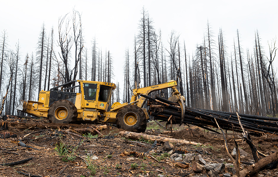 Mackolines Machines & Hire 620H skidder drags salvaged logs to the decking area.