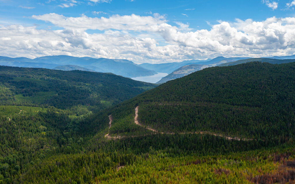 Aerial view of the West Kootenay region of southern British Columbia.