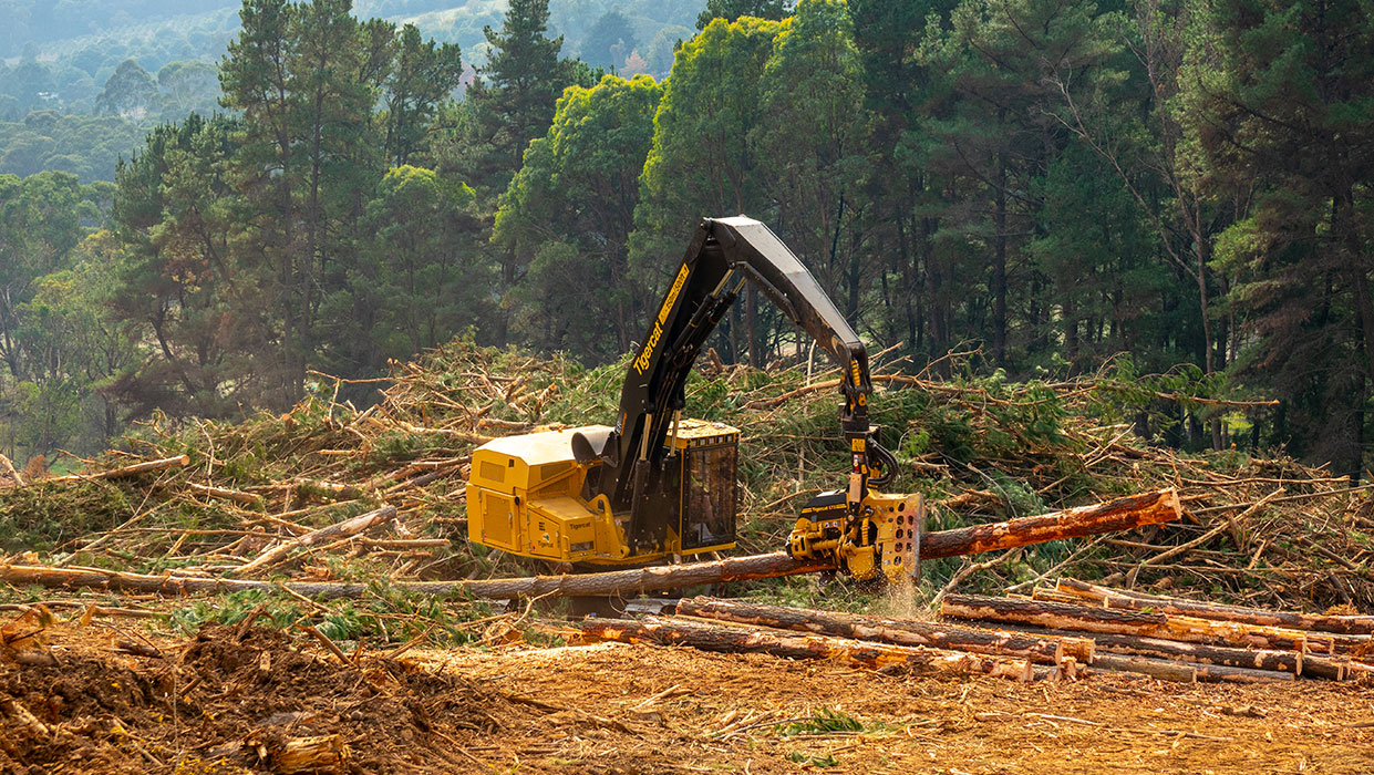 Image of a Mackolines Machines & Hire 573 harvesting head working in the field