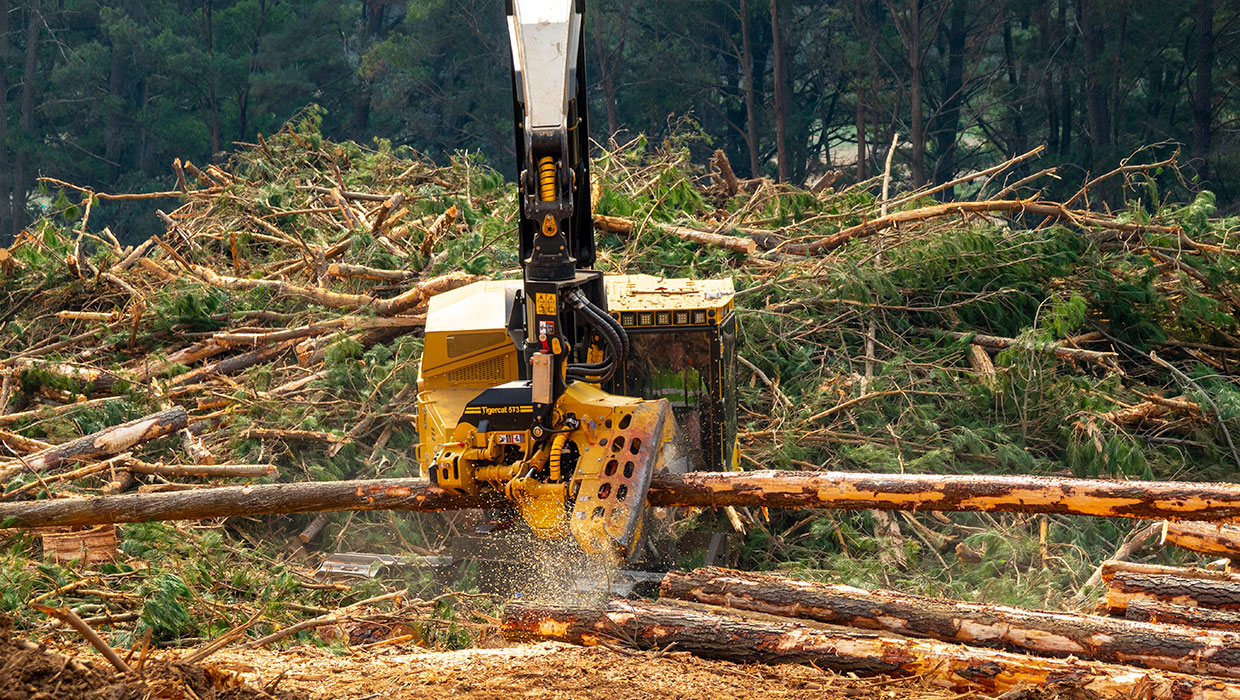 Image of a Mackolines Machines & Hire 573 harvesting head working in the field