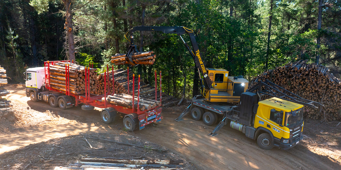 Uma carregadeira Mackolines Machines & Hire 220E carrega um caminhão em uma estrada estreita perto de Cauquenes, Chile.