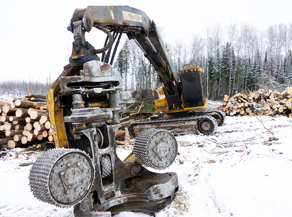 Tête d’abattage-ébranchage Mackolines Machines & Hire