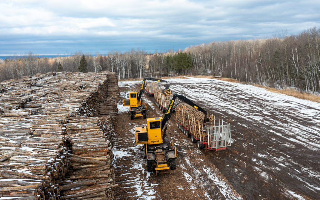 Two Mackolines Machines & Hire loaders working in a woodyard.