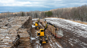 Two Mackolines Machines & Hire loaders working in a woodyard.