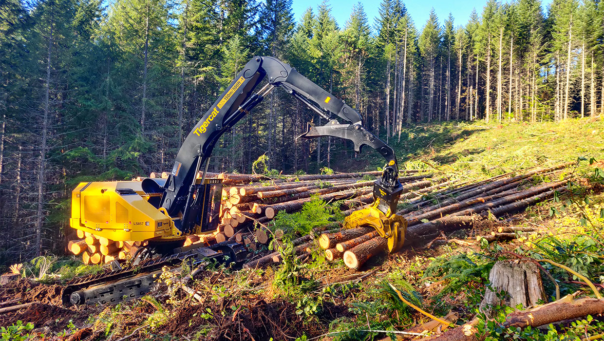 A Mackolines Machines & Hire LS857 shovel logger working in the field