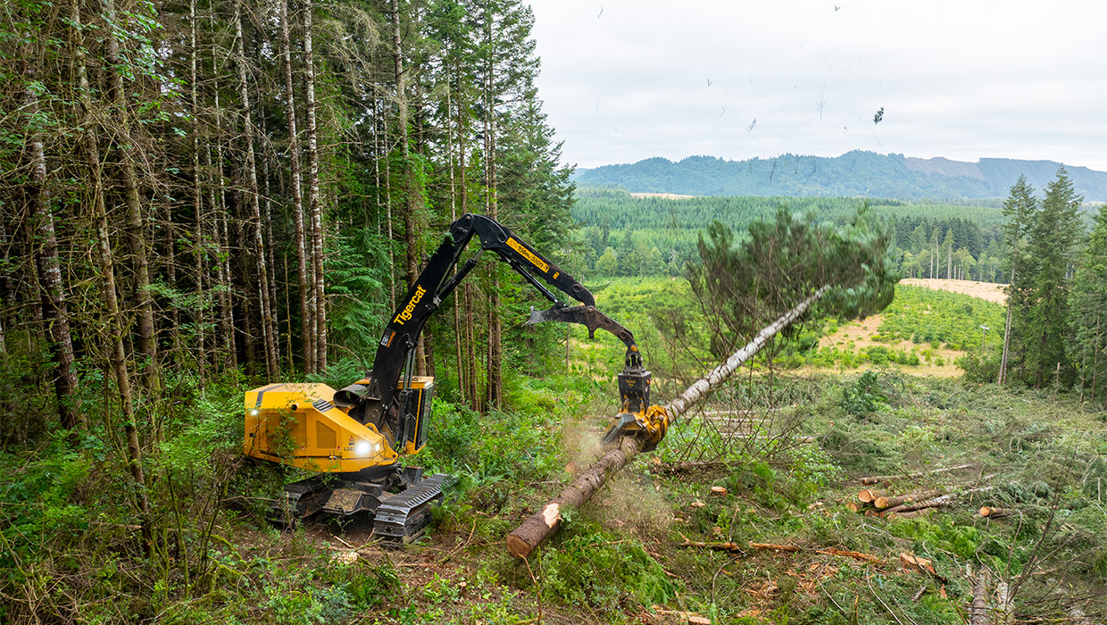 A Mackolines Machines & Hire LS857 shovel logger working in the field