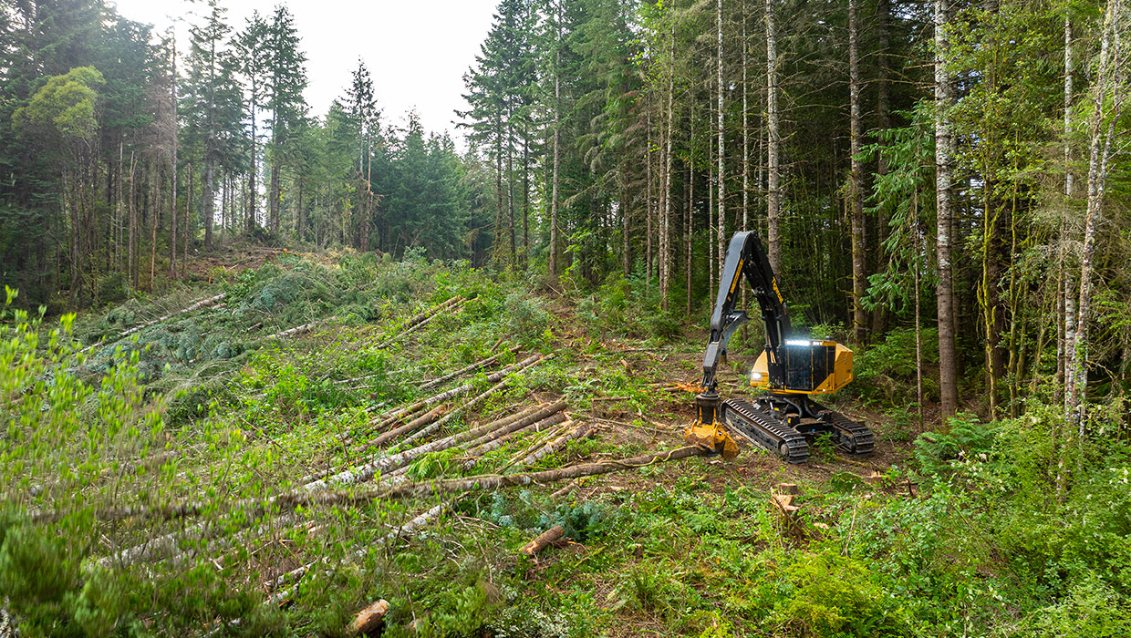 A Mackolines Machines & Hire LS857 shovel logger working in the field